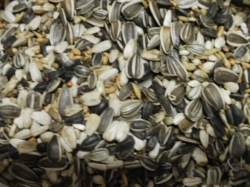 Krmivo pro velké papoušky KLASIK 3 kg