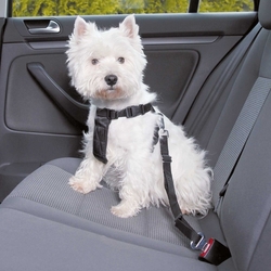 Bezpečnostní postroj pro psy do auta S