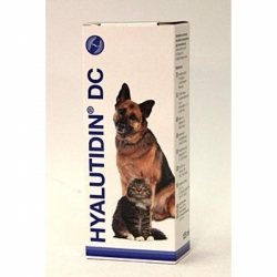Hyalutidin DC pro psy a kočky 125ml