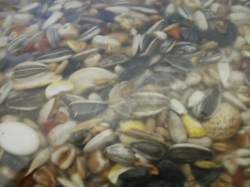 Krmivo pro velké papoušky oříšky, popcornem a ovocem 1 kg
