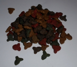 PROCT-CAT ADULT FISH 1kg - s rybou