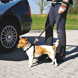 Bezpečnostní postroj pro psy do auta XS