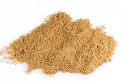 ALGAE DHA - Mikrořasy s 36% obsahem DHA Omega-3 100g