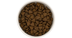 Best Breeder DELUXE Dog Free Range Turkey Adult 12kg
