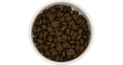 Best Breeder DELUXE Dog Scottish Salmon Light Adult 12kg
