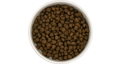 Best Breeder DELUXE Dog Angus Beef Small Breed Adult 12kg