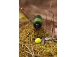Vasr Smoker 60ml