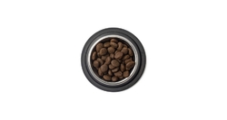 Best Breeder Adult Salmon & Potato 12kg
