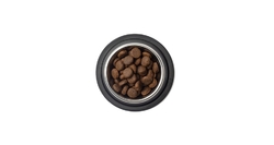  Best Breeder Grain Free Large Breed Turkey, Sweet Potato & Cranberry 12kg