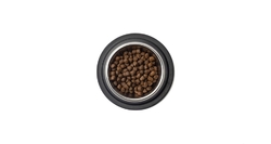 Best Breeder Grain Free Puppy Salmon with Haddock & Blue Whiting, Sweet Potato and Asparagus