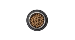 Best Breeder Senior / Light Fish & Rice 12kg