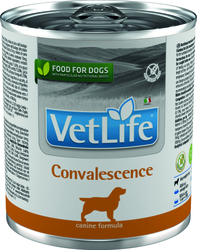 Vet Life Natural Dog konz. Convalescence 300g