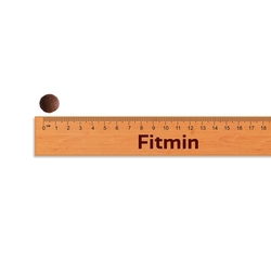 Fitmin dog Purity Rice Adult Fish&Venison 2kg + PAMLSKY ZDARMA!