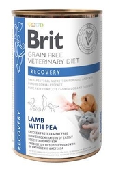 Brit VD Dog+Cat GF konz. Recovery 400g