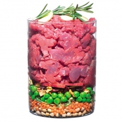 Carnilove dog True Fresh Beef Adult 11,4 Kg