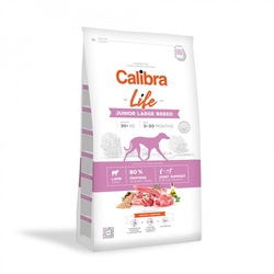 Calibra Dog Life Junior Large Breed Lamb 12kg + 2,5kg ZDARMA