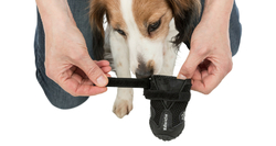 Ochranné boty pro aktivní psy 