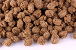 Extrudované krmivo pro BARF s Kelpou bez lososového oleje 1kg