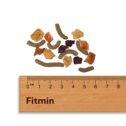 Fitmin For Friend kompletní krmivo pro hlodavce 500 g