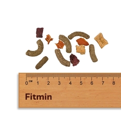 Fitmin For Friends kompletní krmivo pro morčata 450 g