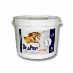 Gelapony Arthro 5400g