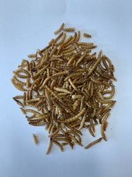 Sušený moučný červ 300 ml - 50g