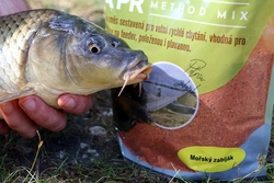 Plumlovský kapr MOŘSKÝ ZABIJÁK 1,5kg - i na dravce, jesetery, úhoře!