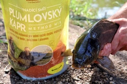Plumlovský kapr MOŘSKÝ ZABIJÁK 1,5kg - i na dravce, jesetery, úhoře!