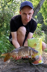 Plumlovský kapr MOŘSKÝ ZABIJÁK 1,5kg - i na dravce, jesetery, úhoře!