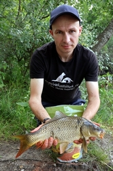 Plumlovský kapr MOŘSKÝ ZABIJÁK 1,5kg - i na dravce, jesetery, úhoře!