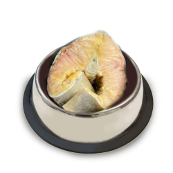Jeseter ryba 1kg - mražené maso pro psy BARF