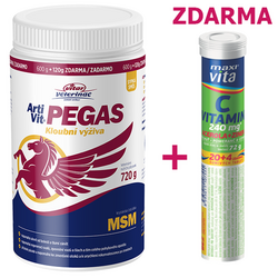 ArtiVit PEGAS MSM na klouby 700g - SLEVA 40%