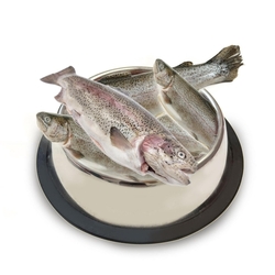 Pstruh kuchaný 1kg - mražené maso kusové 