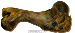 Kost vepřová sušená č. 2 - 20 cm