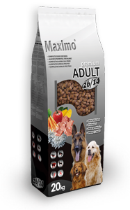 Maximo Adult 20kg