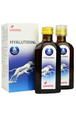 Hyalutidin DC pro psy a kočky 250 ml ( 2 x 125ml )